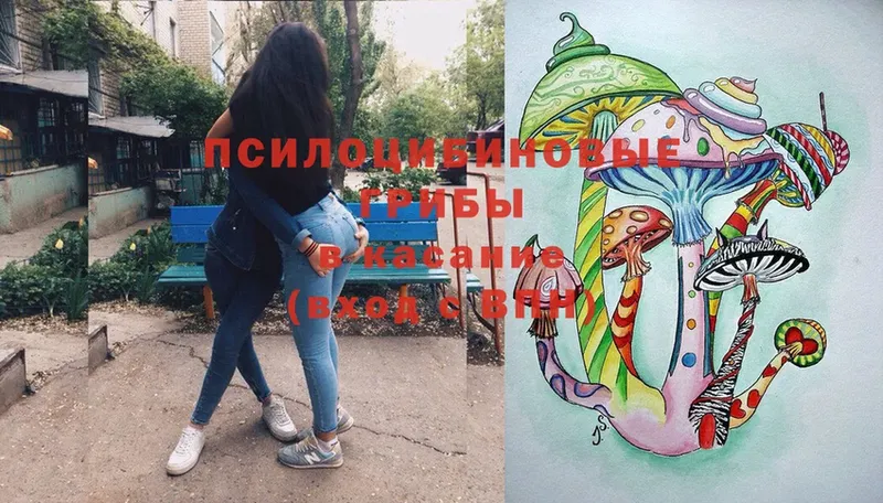 Галлюциногенные грибы Magic Shrooms  купить  цена  Барнаул 